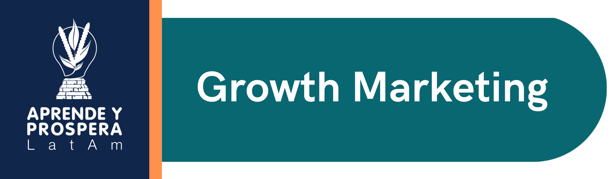 1. Growth Marketing